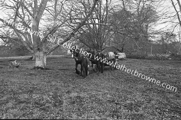 EARLY RECORDS OF FORESTRY WORK LOGGING